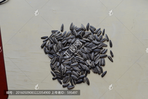 瓜子
