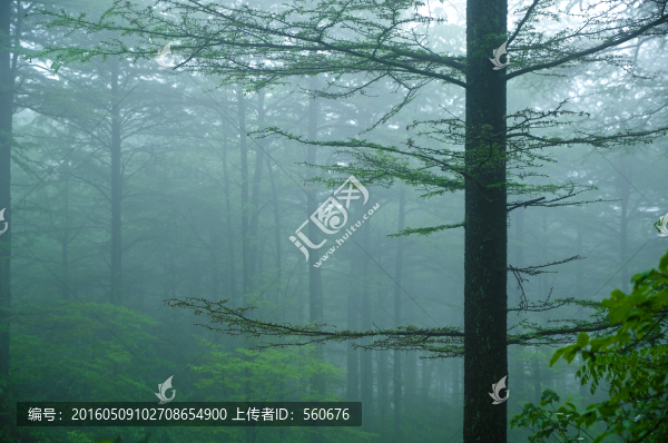 余姚風(fēng)光