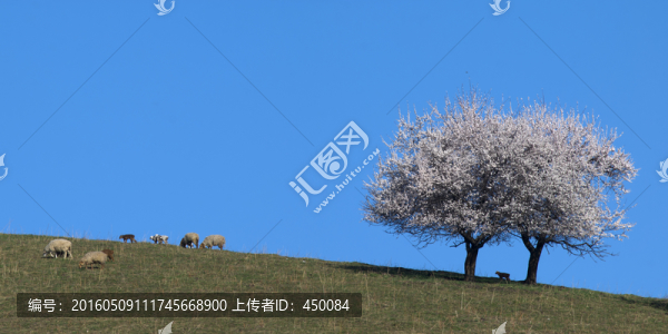 春游