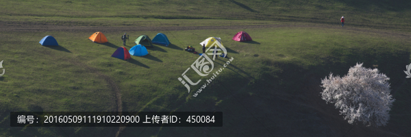 野營