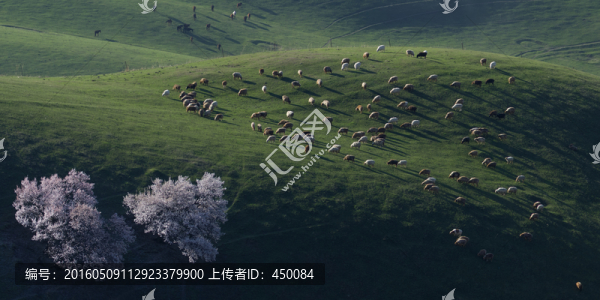 天山之春