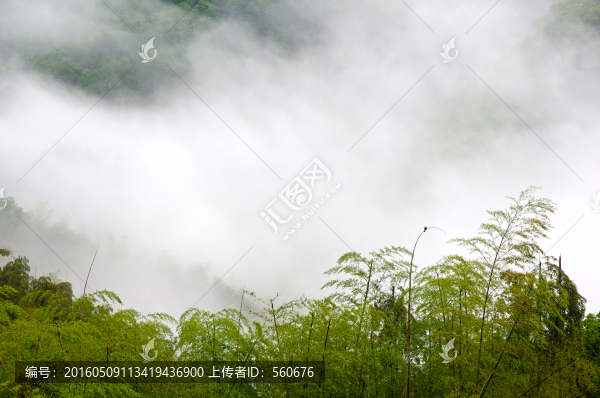 四明山