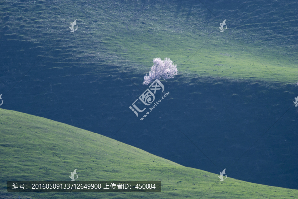 天山之春