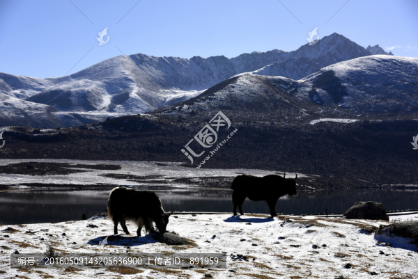 年寶玉則雪山風(fēng)光