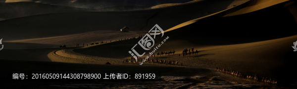 晨光沙影伴駝鈴