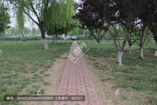 公園道路