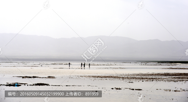 茶卡鹽湖