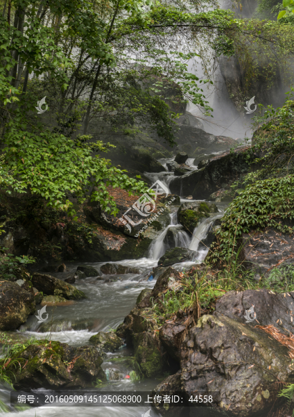 青苔流水