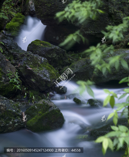青苔流水