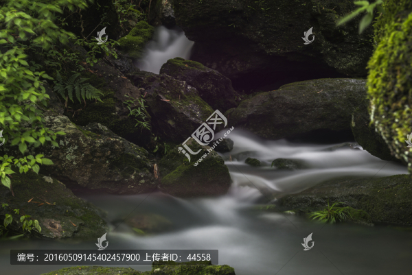 青苔流水