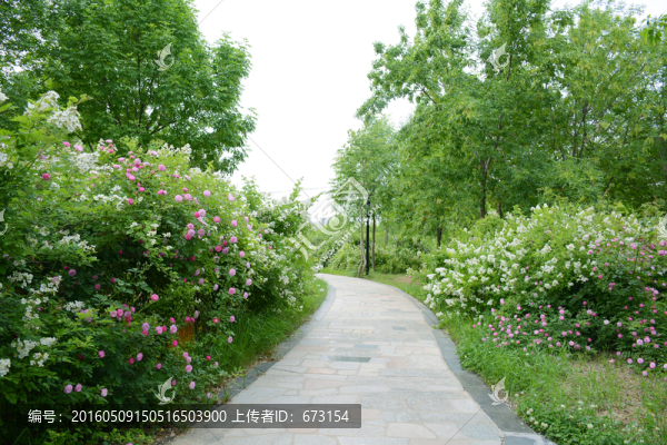 開(kāi)滿鮮花的小路