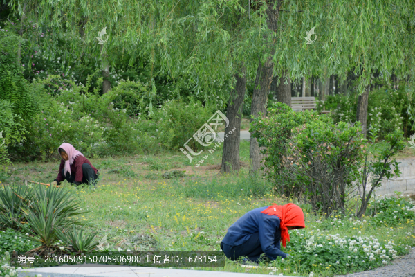 公園除草
