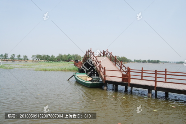 白洋淀荷花大觀園景致