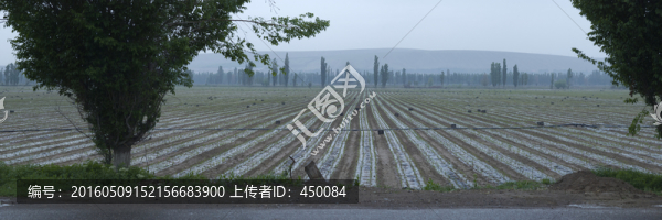 田地