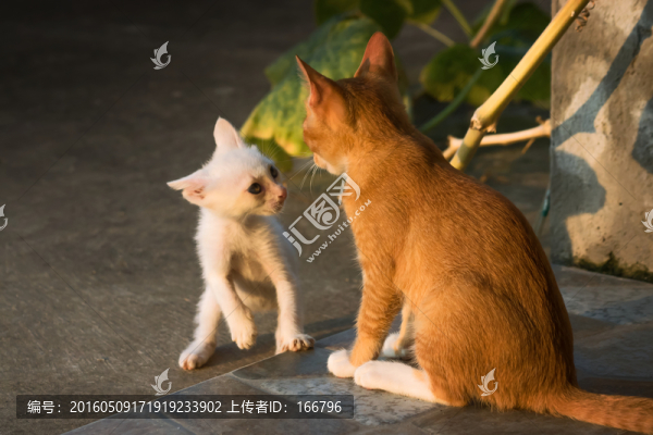 扼守底線