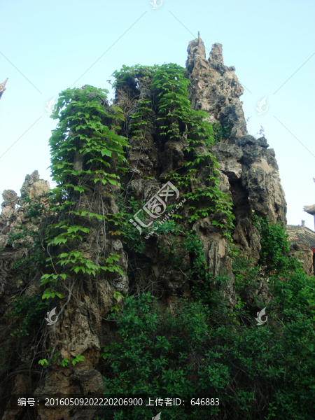 假山,園林