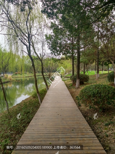 公園小道