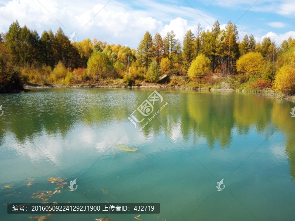 秋季森林濕地