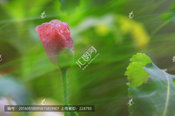 相機繪畫
