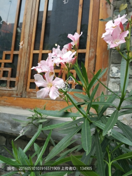 花
