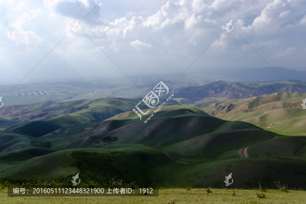 高山牧場