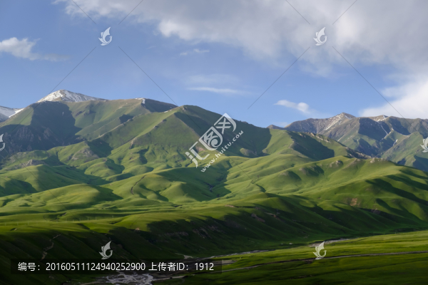 雪山草原