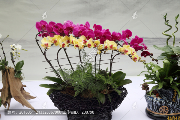 插花藝術(shù)