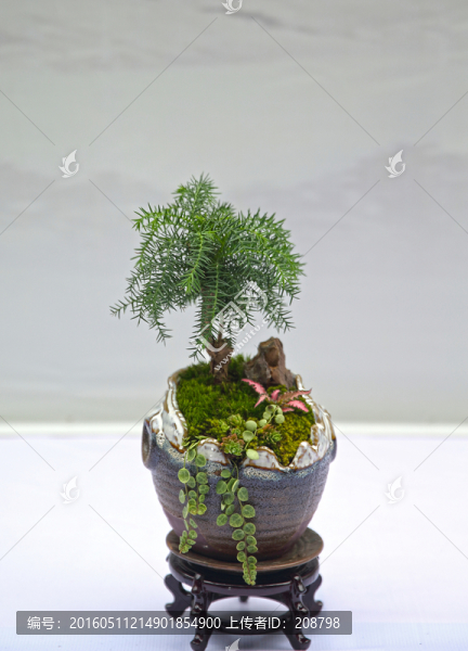 園藝造景