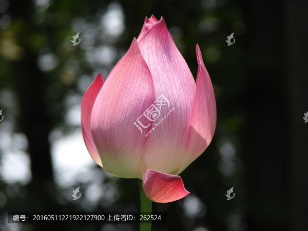 杭州,景區(qū)