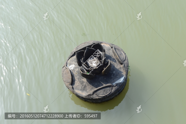 鐵蓮花