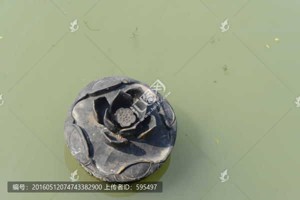 鐵蓮花