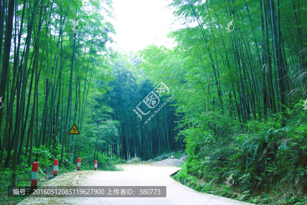 竹林
