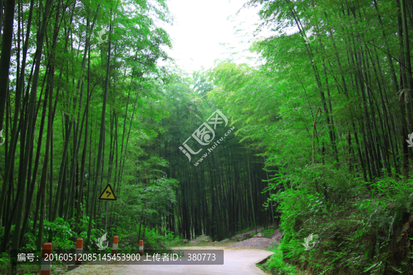 竹林