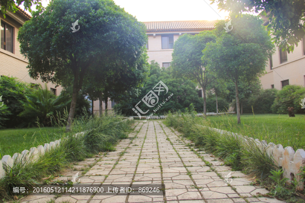 陽(yáng)光綠樹草地