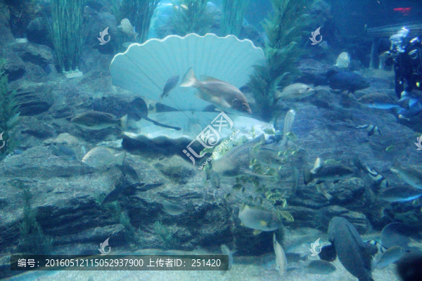 海底世界