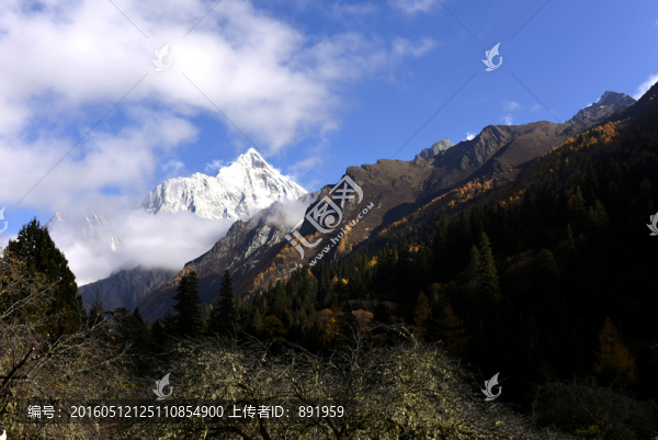 四姑娘山風(fēng)光