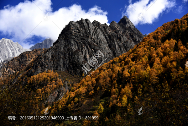 四姑娘山風(fēng)光