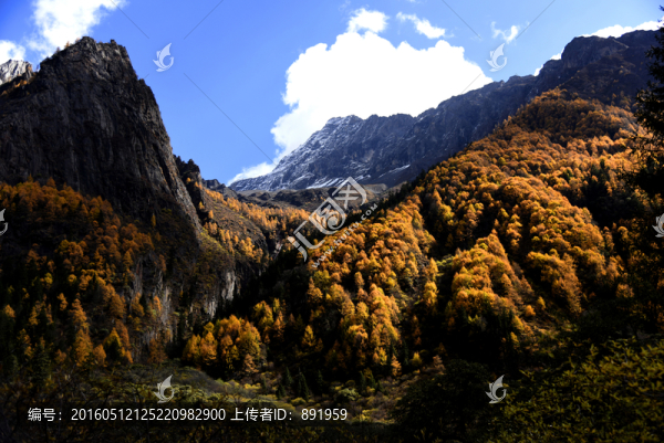 四姑娘山風光