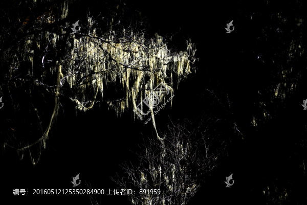 四姑娘山風(fēng)光