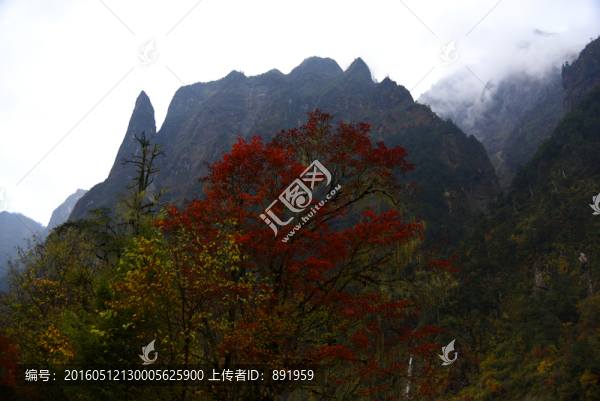 燕子溝
