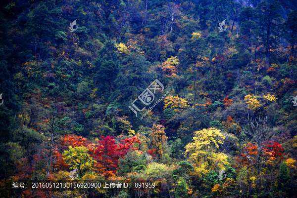 燕子溝