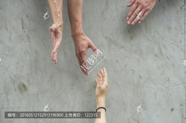 人體,肢體