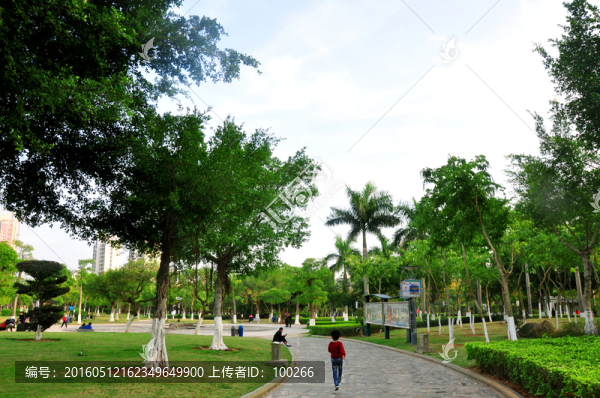 公園一角