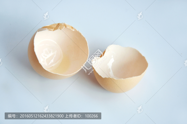 雞蛋殼