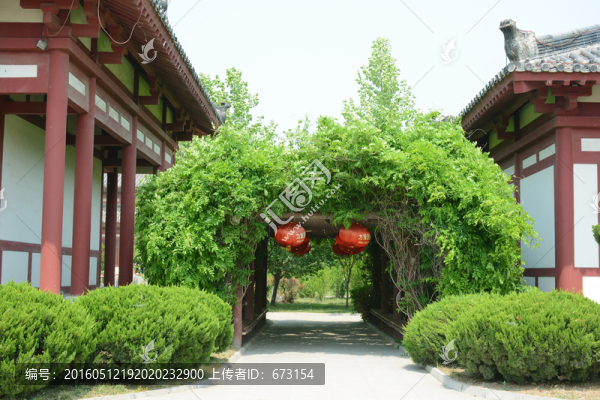 綠色長廊
