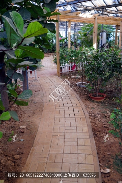 小路