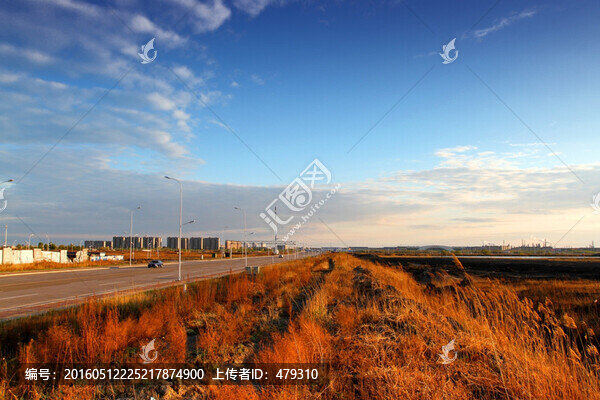 大慶,龍鳳濕地,大慶市,濕地