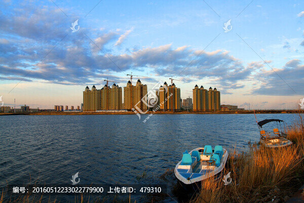 大慶,龍鳳濕地,大慶市,濕地