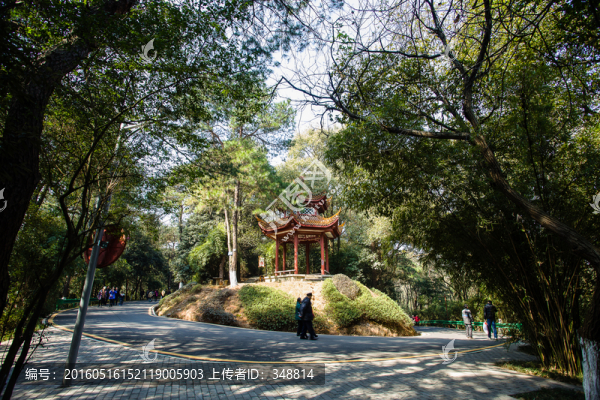公園