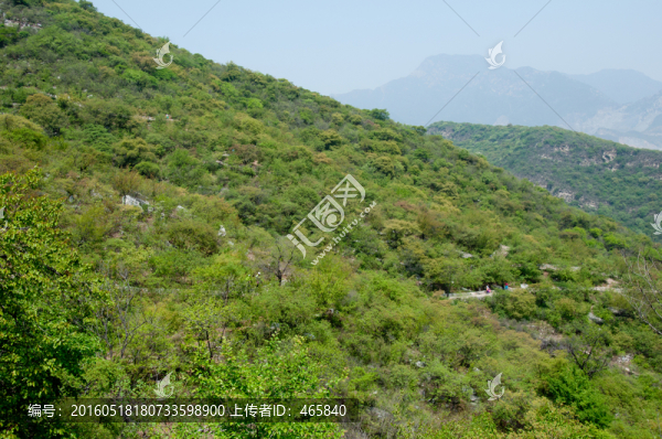 青山綠色植被